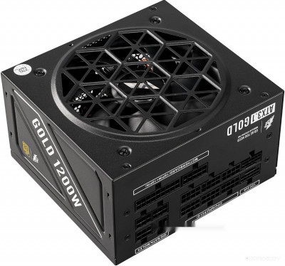 NGDP Gold 1200W HA-1200BA4