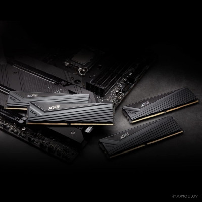 XPG Caster 2x32ГБ DDR5 6000 МГц AX5U6000C3032G-DCCAGY