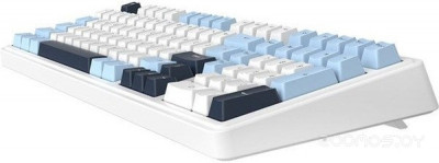 AK980 (синий/белый/голубой, Ajazz Daydream)