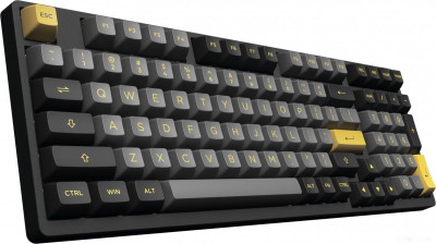 3098N Black & Gold (TTC Gold Pink)