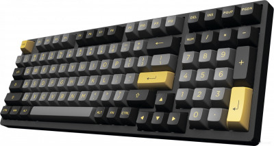 3098N Black & Gold (TTC Gold Pink)