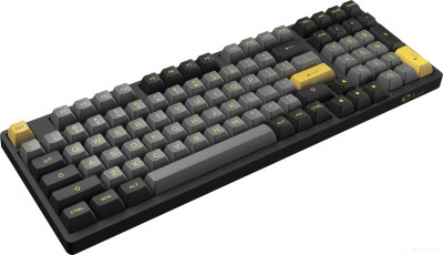 3098N Black & Gold (TTC Gold Pink)