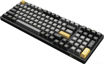 3098N Black & Gold (TTC Gold Pink)