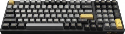 3098N Black & Gold (TTC Gold Pink)