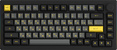 5075B Plus Black & Gold (Akko Cream Yellow V3)