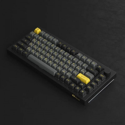 5075B Plus Black & Gold (Akko Cream Yellow V3)