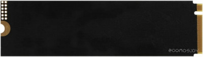 Radeon R3 128GB R3MP30128G8
