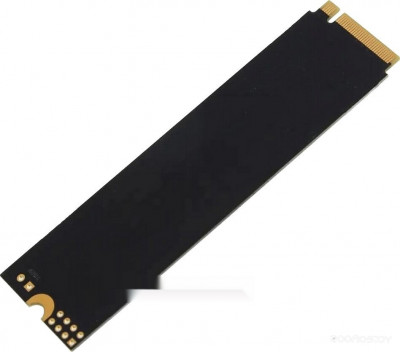 Radeon R3 128GB R3MP30128G8