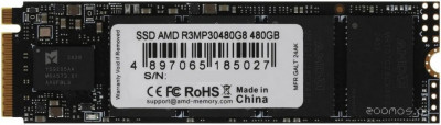 Radeon R3 480GB R3MP30480G8