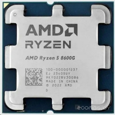 Ryzen 5 8600G (OEM)