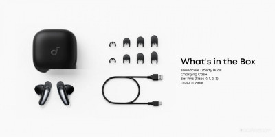 Soundcore Liberty Buds (черный)