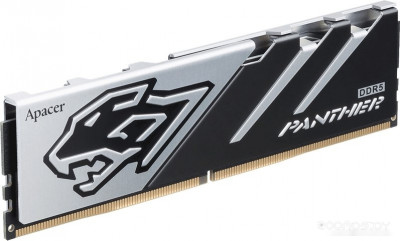 Panther 16ГБ DDR5 6400 МГц AH5U16G64C6527BAA-1