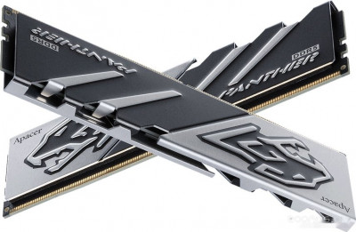 Panther 16ГБ DDR5 6400 МГц AH5U16G64C6527BAA-1