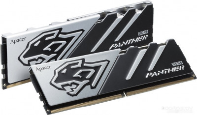 Panther 16ГБ DDR5 6400 МГц AH5U16G64C6527BAA-1