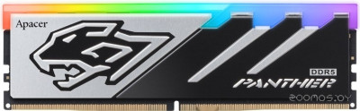 Panther RGB 16ГБ DDR5 6000 МГц AH5U16G60C6229BAA-1