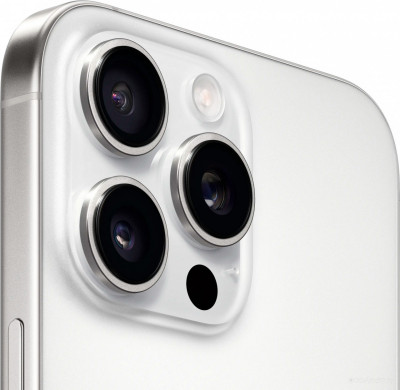 iPhone 16 Pro Max Dual SIM 256GB (белый титан)