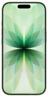 iPhone 17 256GB (зеленый)