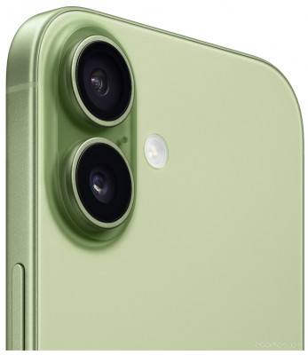 iPhone 17 256GB (зеленый)