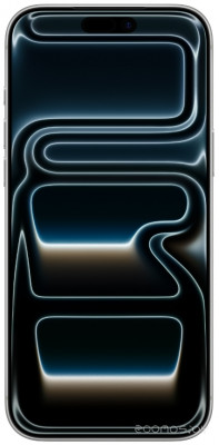 iPhone 17 Pro 256GB (серебристый)