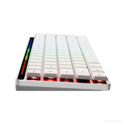 ROG Falchion Moonlight White (ASUS RX Low Profile Red)