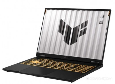 TUF Gaming F16 FX608JM-RV058