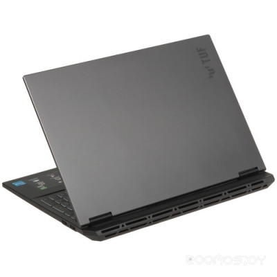 TUF Gaming F16 FX608JM-RV061