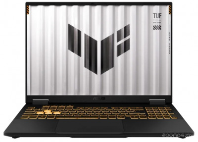 TUF Gaming F16 FX608JP-RV019