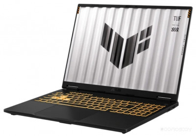 TUF Gaming F16 FX608JP-RV023