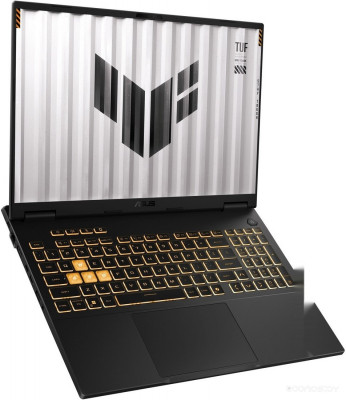 TUF Gaming F16 FX608JPR-RV048