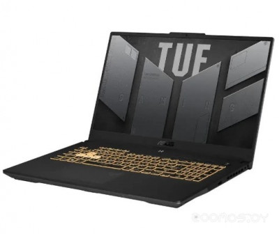 TUF Gaming F17 FX707VUR-HX225