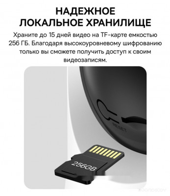 Security P1 Pro 3K White