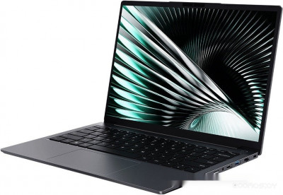 UniBook 304 CWI658-C33048G256GB