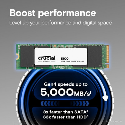 E100 1TB CT1000E100SSD8