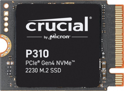 P310 1TB CT1000P310SSD2