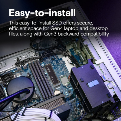 P310 500GB CT500P310SSD8