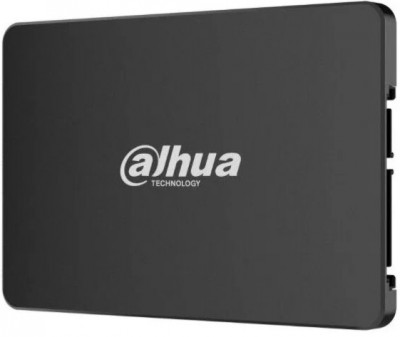 256GB DHI-SSD-C800AS256G