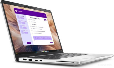 Pro 13 Plus PB13250-7224