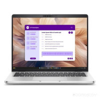 Pro 14 Plus PB14250-5655