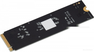 Mega P5 256GB DGSM3256GP53T