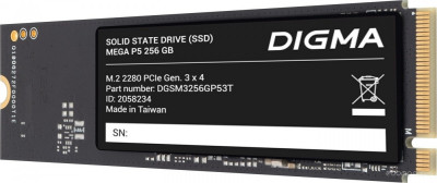 Mega P5 256GB DGSM3256GP53T