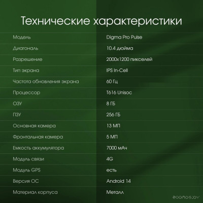 Pro Pulse 4G 8GB/256GB (темно-зеленый)