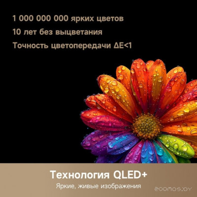 43Q100