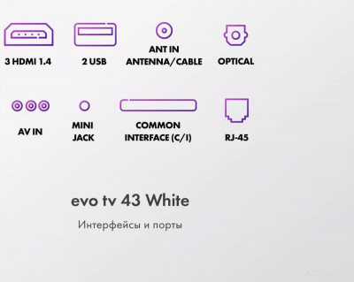 43 White TD0051750RU