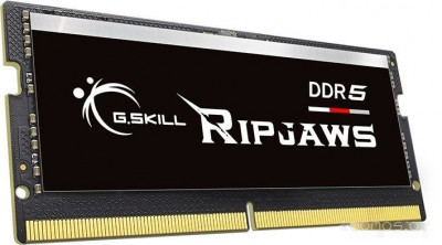 Ripjaws 32ГБ DDR5 SODIMM 5600МГц F5-5600S4040A32GX1-RS