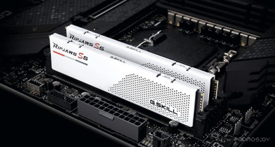 Ripjaws S5 2x32ГБ DDR5 6000МГц F5-6000J3040G32GX2-RS5W