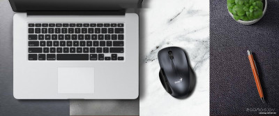 Ergo 8200S (серый)