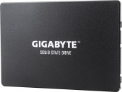 1TB GP-GSTFS31100TNTD