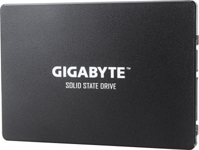 1TB GP-GSTFS31100TNTD