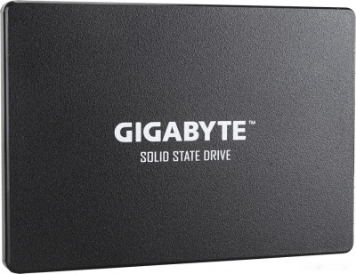 1TB GP-GSTFS31100TNTD
