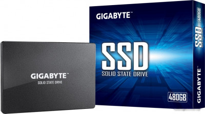 1TB GP-GSTFS31100TNTD